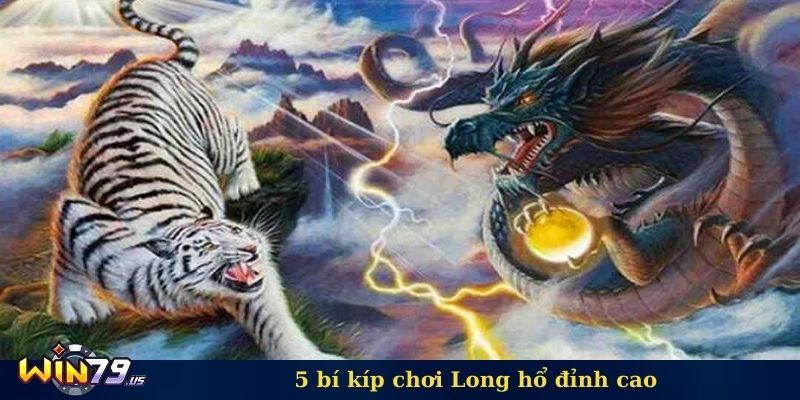 5 bí kíp chơi Long hổ đỉnh cao