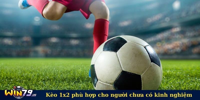 Kèo 1x2 phù hợp cho người chưa có kinh nghiệm