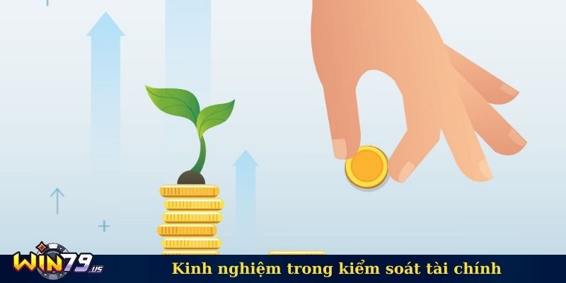 Kinh nghiệm trong kiểm soát tài chính