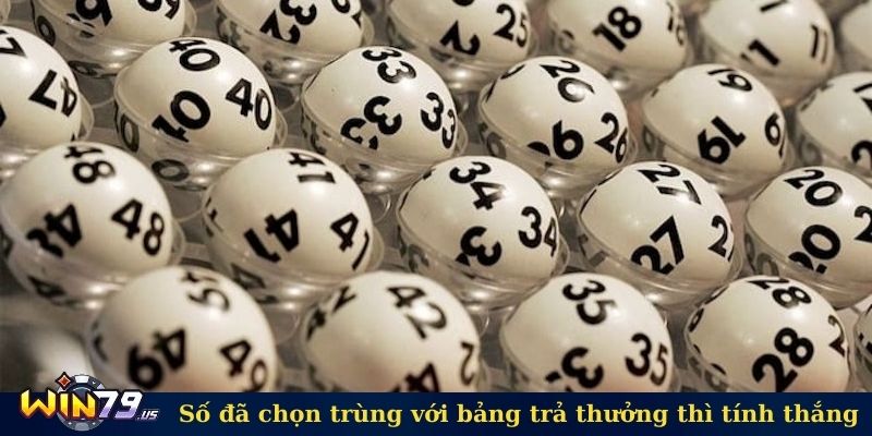 Số đã chọn trùng với bảng trả thưởng thì tính thắng