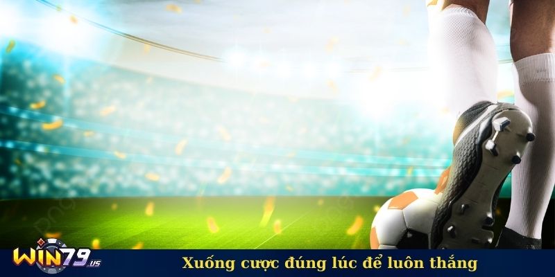 Xuống cược đúng lúc để luôn thắng