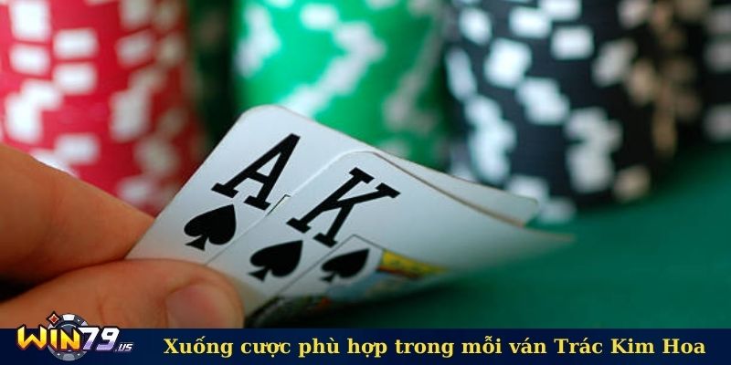 Xuống cược phù hợp trong mỗi ván Trác Kim Hoa