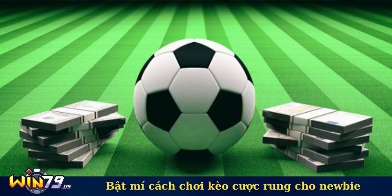 Bật mí cách chơi kèo cược rung cho newbie