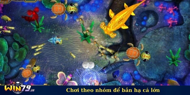 Chơi theo nhóm để bắn hạ cá lớn