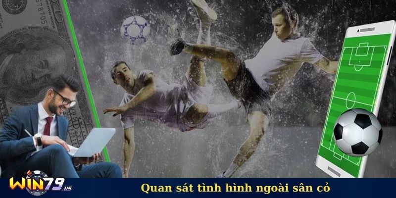 Quan sát tình hình ngoài sân cỏ