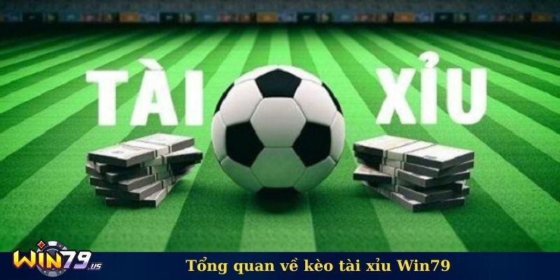 Tổng quan về kèo tài xỉu Win79